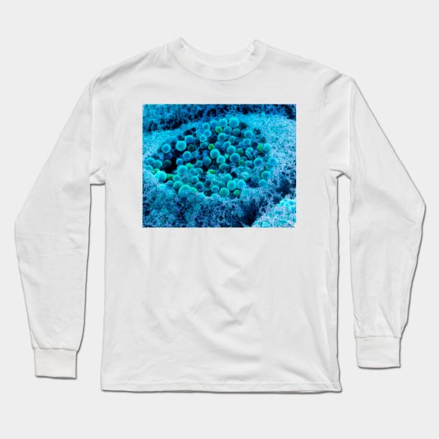 Col. SEM of eye melanocyte cell & pigment granules (P424/0108) Long Sleeve T-Shirt by SciencePhoto